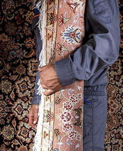 قالی لول در قالیشویی چیذر